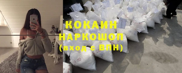 шишки Абинск