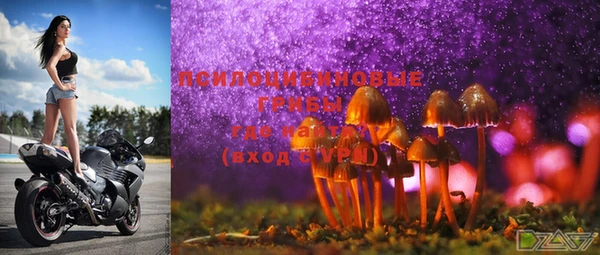 шишки Абинск