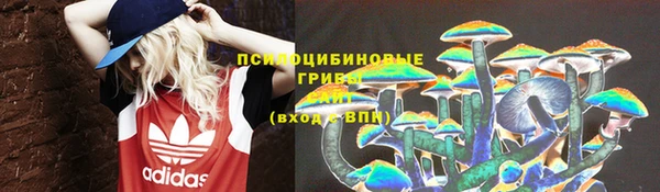ешки Алзамай