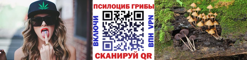 купить  цена  Красково  Галлюциногенные грибы Cubensis 